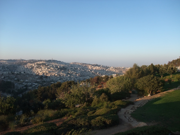 Peace Forest Overlooking Jerusalem