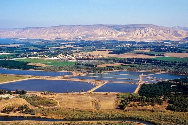 Jordan Valley Fields (Courtesy of Pictorial Library of Bible Lands)